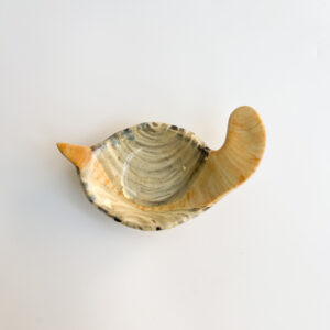 Geoduck Dish