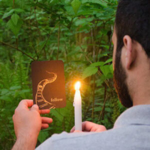 Interactive Activities